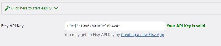API Key einbinden